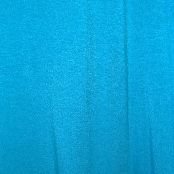 BNWT Lane Bryant Blue Scoop Neck Tee size 18/20 - Picture 2 of 6